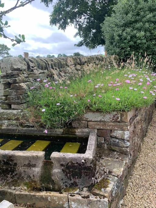 Longnor  Ivy Houseヴィラ エクステリア 写真
